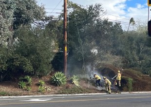 Heavy Winds Cause Power Outages, Downed Trees on Christmas Eve